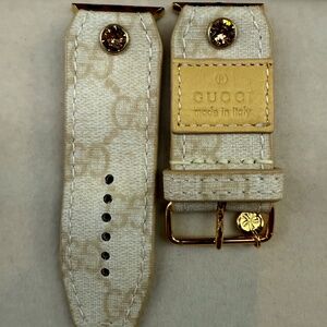 Apple watchband